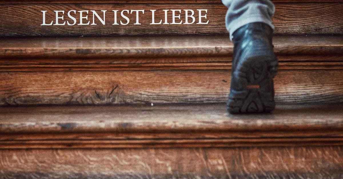 Философские аспекты немецкой онлайн игровой культуры